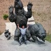 danis, 42, Yagodnoye